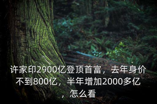 許家印2900億登頂首富，去年身價(jià)不到800億，半年增加2000多億，怎么看