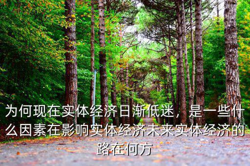為何現(xiàn)在實(shí)體經(jīng)濟(jì)日漸低迷，是一些什么因素在影響實(shí)體經(jīng)濟(jì)未來(lái)實(shí)體經(jīng)濟(jì)的路在何方