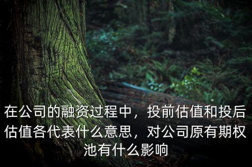 在公司的融資過程中，投前估值和投后估值各代表什么意思，對(duì)公司原有期權(quán)池有什么影響