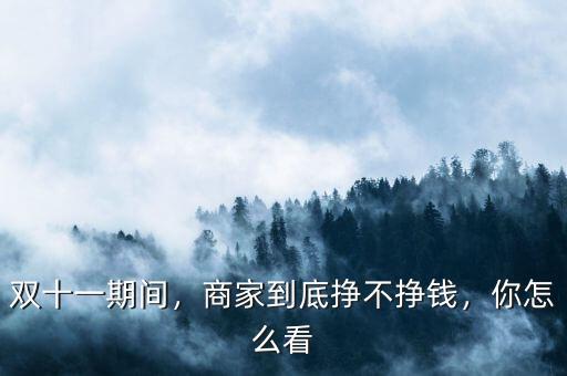雙十一期間，商家到底掙不掙錢，你怎么看