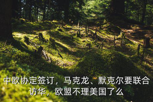 中歐協(xié)定簽訂，馬克龍、默克爾要聯(lián)合訪華，歐盟不理美國(guó)了么