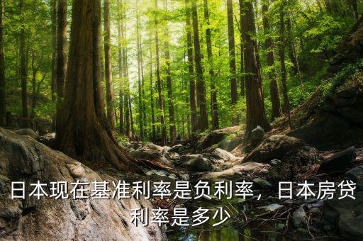 日本現(xiàn)在基準(zhǔn)利率是負(fù)利率，日本房貸利率是多少