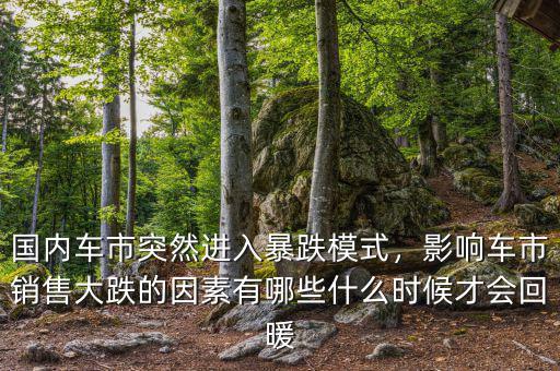 國(guó)內(nèi)車市突然進(jìn)入暴跌模式，影響車市銷售大跌的因素有哪些什么時(shí)候才會(huì)回暖