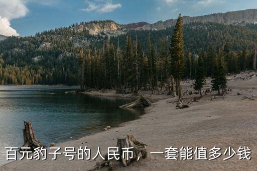 百元豹子號(hào)的人民幣，一套能值多少錢