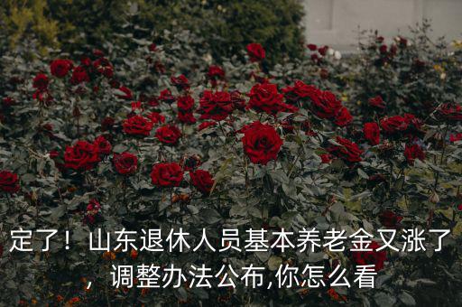 定了！山東退休人員基本養(yǎng)老金又漲了，調(diào)整辦法公布,你怎么看