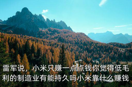 雷軍說，小米只賺一點(diǎn)點(diǎn)錢你覺得低毛利的制造業(yè)有能持久嗎小米靠什么賺錢