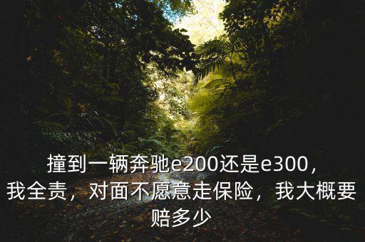 撞到一輛奔馳e200還是e300，我全責(zé)，對面不愿意走保險(xiǎn)，我大概要賠多少