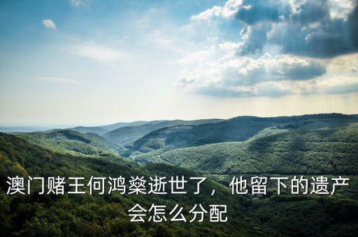 澳門(mén)賭王何鴻燊逝世了，他留下的遺產(chǎn)會(huì)怎么分配