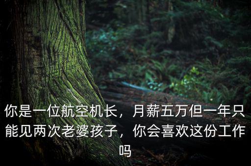 你是一位航空機(jī)長，月薪五萬但一年只能見兩次老婆孩子，你會喜歡這份工作嗎