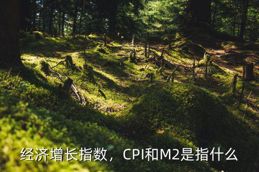 經(jīng)濟(jì)增長指數(shù)，CPI和M2是指什么