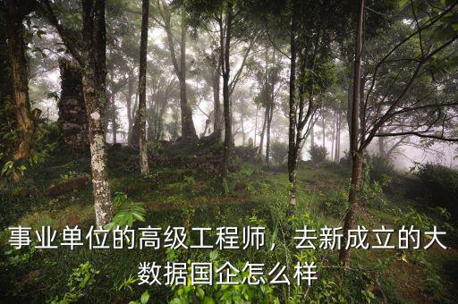 事業(yè)單位的高級(jí)工程師，去新成立的大數(shù)據(jù)國(guó)企怎么樣