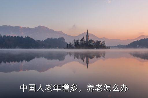 中國(guó)人老年增多，養(yǎng)老怎么辦