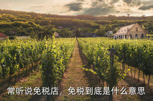 常聽說免稅店，免稅到底是什么意思