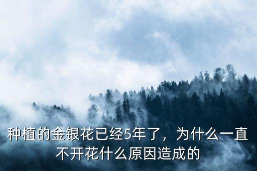 種植的金銀花已經(jīng)5年了，為什么一直不開花什么原因造成的