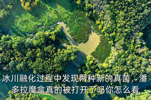 冰川融化過程中發(fā)現(xiàn)兩種新的真菌，潘多拉魔盒真的被打開了嗎你怎么看