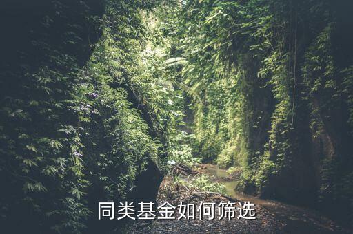 同類(lèi)基金如何篩選