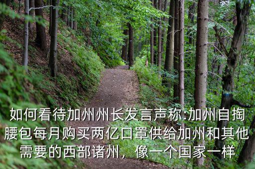 如何看待加州州長發(fā)言聲稱:加州自掏腰包每月購買兩億口罩供給加州和其他需要的西部諸州，像一個國家一樣