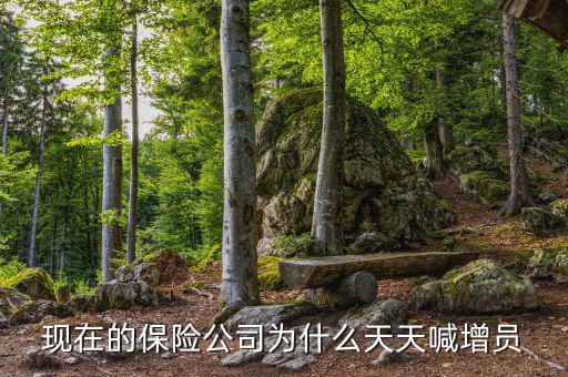 保險(xiǎn)公司為什么要增員,保險(xiǎn)公司為什么要增員