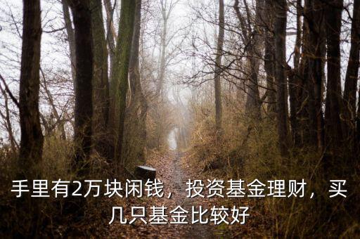 手里有2萬塊閑錢，投資基金理財，買幾只基金比較好