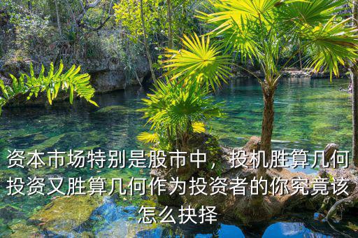 市場資本投機(jī)是怎么運行,投機(jī)勝算幾何
