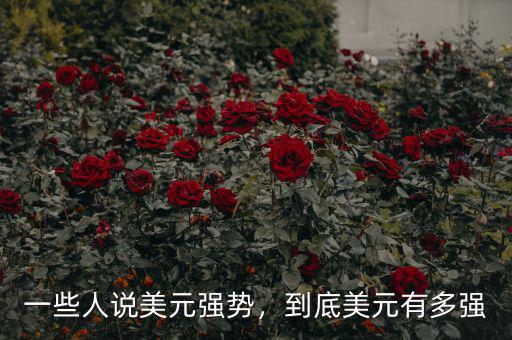 一些人說美元強(qiáng)勢，到底美元有多強(qiáng)