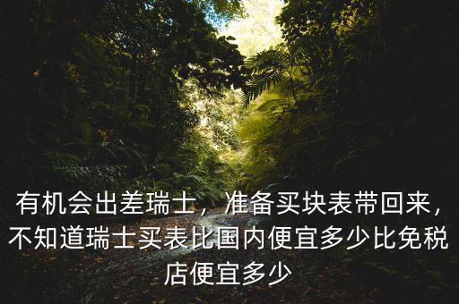 有機(jī)會(huì)出差瑞士，準(zhǔn)備買塊表帶回來，不知道瑞士買表比國內(nèi)便宜多少比免稅店便宜多少