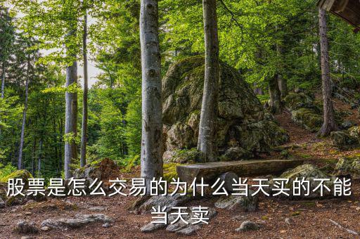 股票是怎么交易的為什么當(dāng)天買(mǎi)的不能當(dāng)天賣(mài)