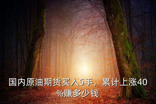 國內(nèi)原油期貨買入5手，累計上漲40%賺多少錢