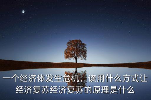 一個(gè)經(jīng)濟(jì)體發(fā)生危機(jī)，該用什么方式讓經(jīng)濟(jì)復(fù)蘇經(jīng)濟(jì)復(fù)蘇的原理是什么