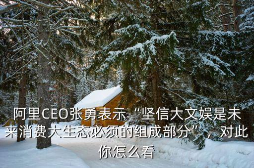 阿里CEO張勇表示“堅信大文娛是未來消費(fèi)大生態(tài)必須的組成部分”，對此你怎么看