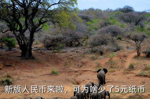 新版人民幣來啦，可為啥少了5元紙幣