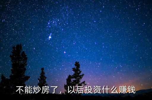 不能炒房了，以后投資什么賺錢