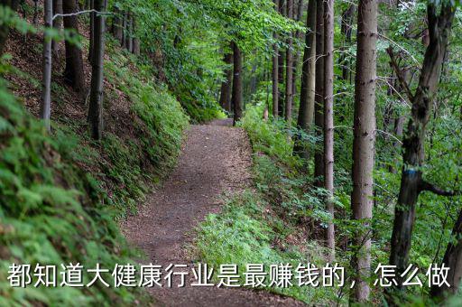都知道大健康行業(yè)是最賺錢(qián)的，怎么做