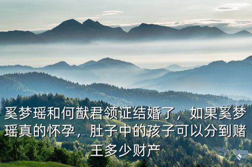奚夢(mèng)瑤和何猷君領(lǐng)證結(jié)婚了，如果奚夢(mèng)瑤真的懷孕，肚子中的孩子可以分到賭王多少財(cái)產(chǎn)