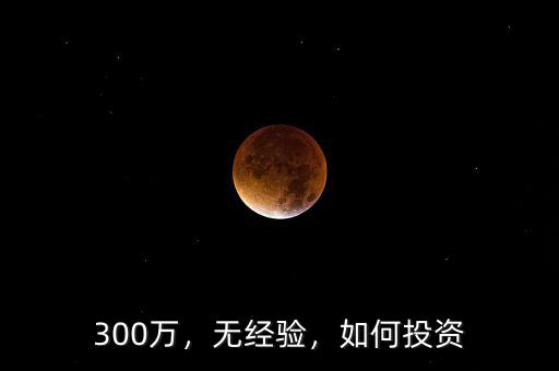 300萬，無經(jīng)驗(yàn)，如何投資