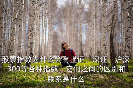 股票指數(shù)為什么會有上證、深證、滬深300等各種指數(shù)，它們之間的區(qū)別和聯(lián)系是什么
