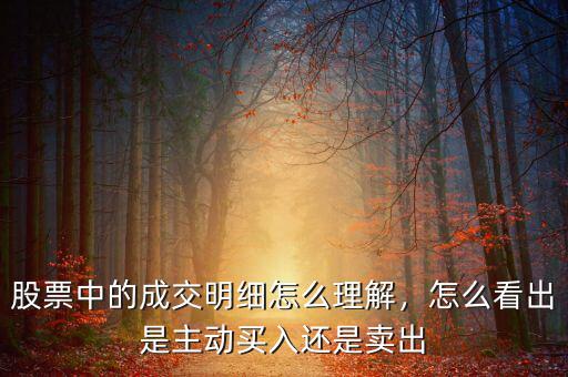 股票中的成交明細(xì)怎么理解，怎么看出是主動買入還是賣出