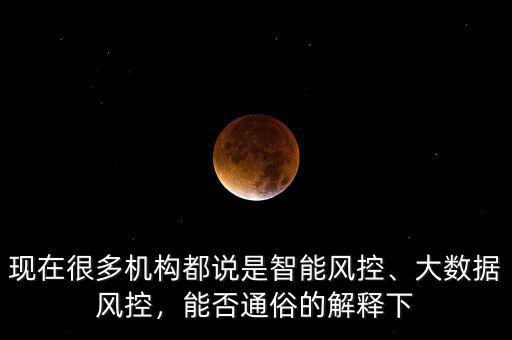 現(xiàn)在很多機構(gòu)都說是智能風控、大數(shù)據(jù)風控，能否通俗的解釋下