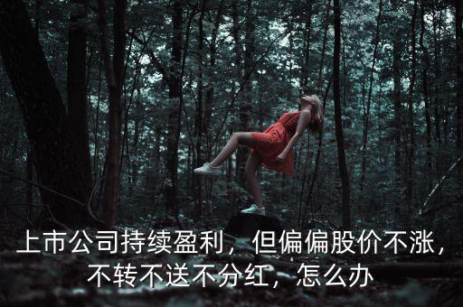 上市公司持續(xù)盈利，但偏偏股價(jià)不漲，不轉(zhuǎn)不送不分紅，怎么辦