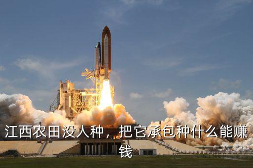 江西農(nóng)田沒人種，把它承包種什么能賺錢