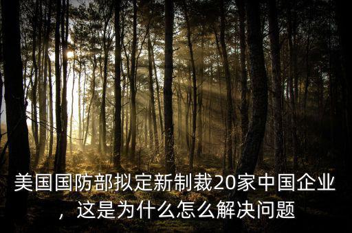 美國國防部擬定新制裁20家中國企業(yè)，這是為什么怎么解決問題