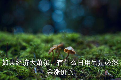 如果經(jīng)濟大蕭條，有什么日用品是必然會漲價的