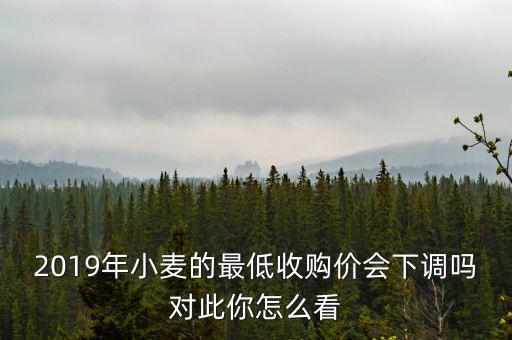 2019年小麥的最低收購價會下調嗎對此你怎么看