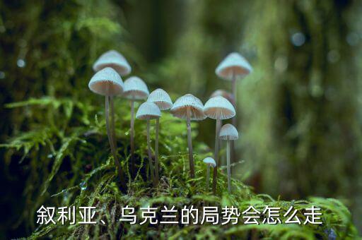 敘利亞、烏克蘭的局勢會怎么走