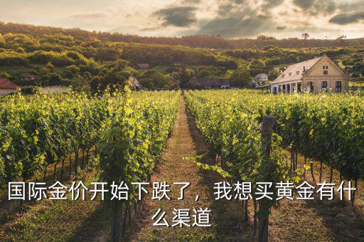 國(guó)際金價(jià)開(kāi)始下跌了，我想買(mǎi)黃金有什么渠道