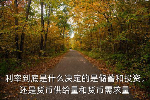 利率到底是什么決定的是儲(chǔ)蓄和投資，還是貨幣供給量和貨幣需求量