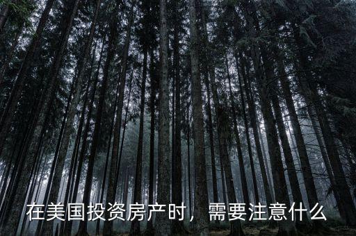 在美國(guó)投資房產(chǎn)時(shí)，需要注意什么
