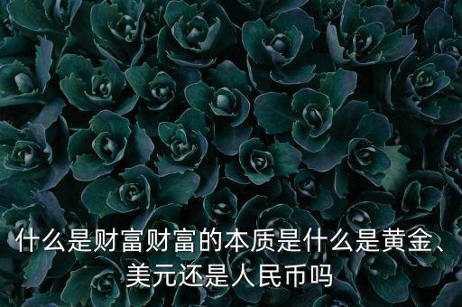 什么是財(cái)富財(cái)富的本質(zhì)是什么是黃金、美元還是人民幣嗎