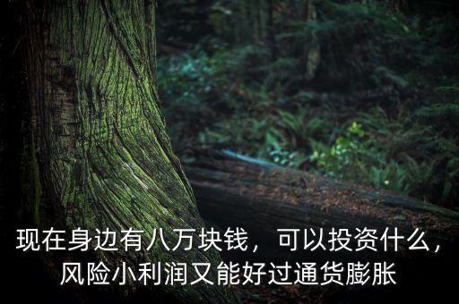 現(xiàn)在身邊有八萬塊錢，可以投資什么，風(fēng)險(xiǎn)小利潤又能好過通貨膨脹