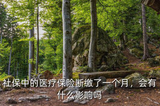 社保中的醫(yī)療保險斷繳了一個月，會有什么影響嗎